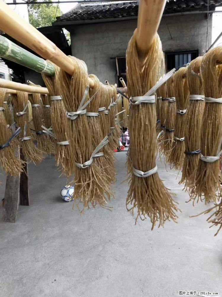 【灌阳正宗红薯粉】美女家里自己做的，干净卫生，假一赔十，价格合理，抢购电话：13737312895 - 美食天地 - 鄢陵生活社区 - 鄢陵28生活网 yanling.28life.net