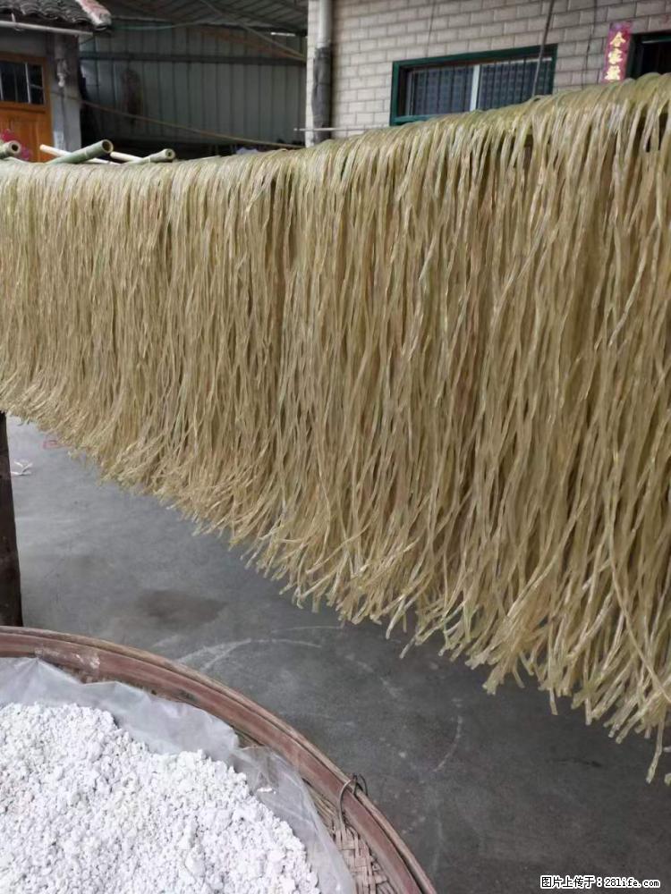 【灌阳正宗红薯粉】美女家里自己做的，干净卫生，假一赔十，价格合理，抢购电话：13737312895 - 美食天地 - 鄢陵生活社区 - 鄢陵28生活网 yanling.28life.net