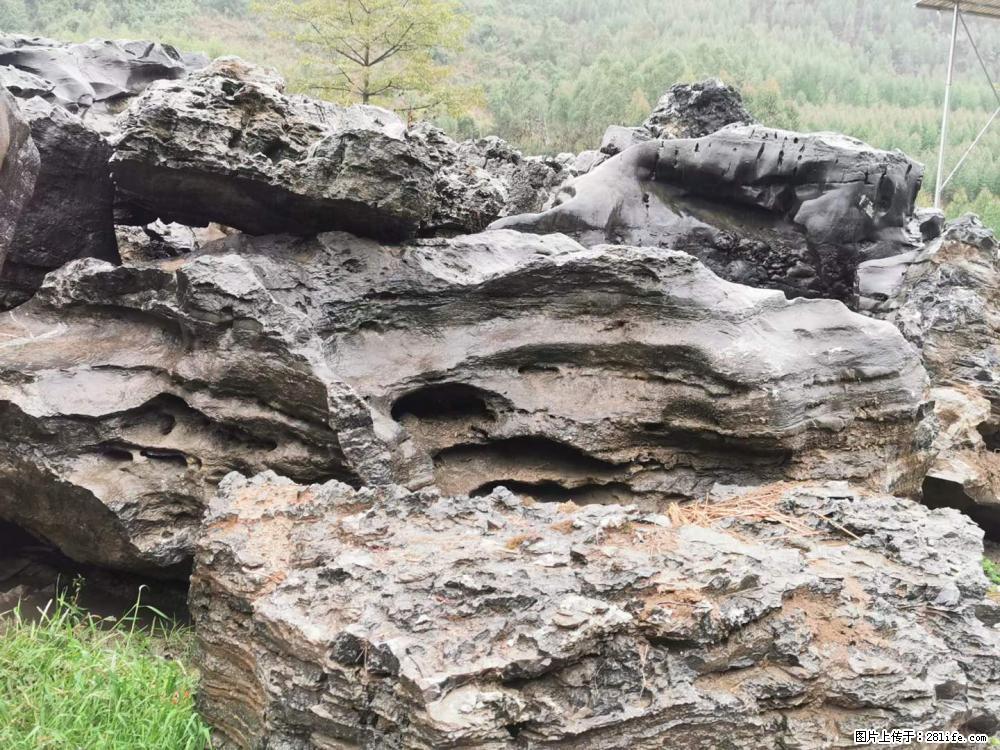 风景石、假山石大量有货，有需要的欢迎联系 - 新手上路 - 鄢陵生活社区 - 鄢陵28生活网 yanling.28life.net