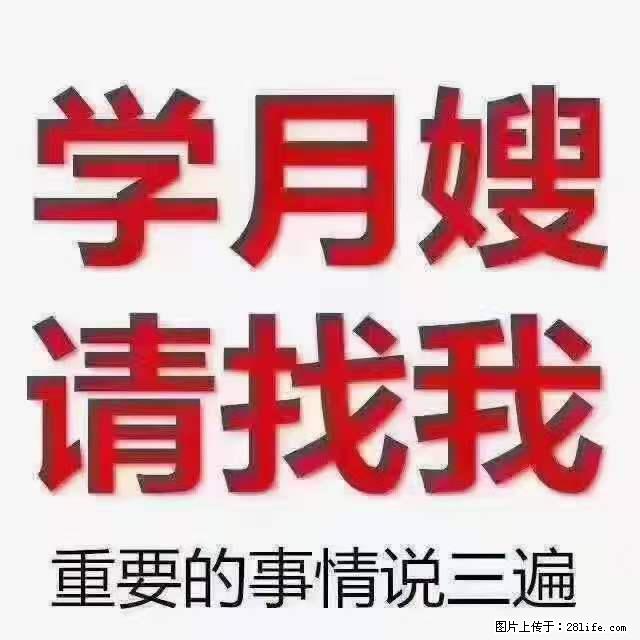 为什么要学习月嫂，育婴师？ - 其他广告 - 广告专区 - 鄢陵分类信息 - 鄢陵28生活网 yanling.28life.net