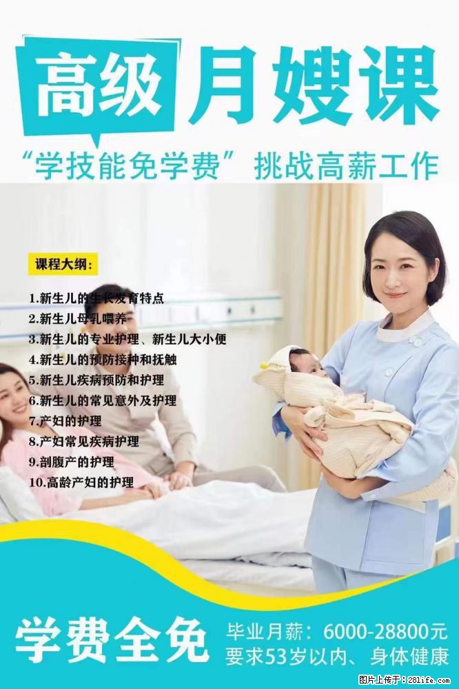 为什么要学习月嫂，育婴师？ - 其他广告 - 广告专区 - 鄢陵分类信息 - 鄢陵28生活网 yanling.28life.net