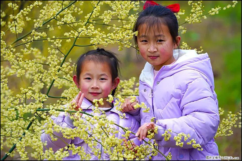 【春天，广西桂林灌阳县向您发出邀请！】米珠山前有片山苍子花在飘香 - 游山玩水 - 鄢陵生活社区 - 鄢陵28生活网 yanling.28life.net