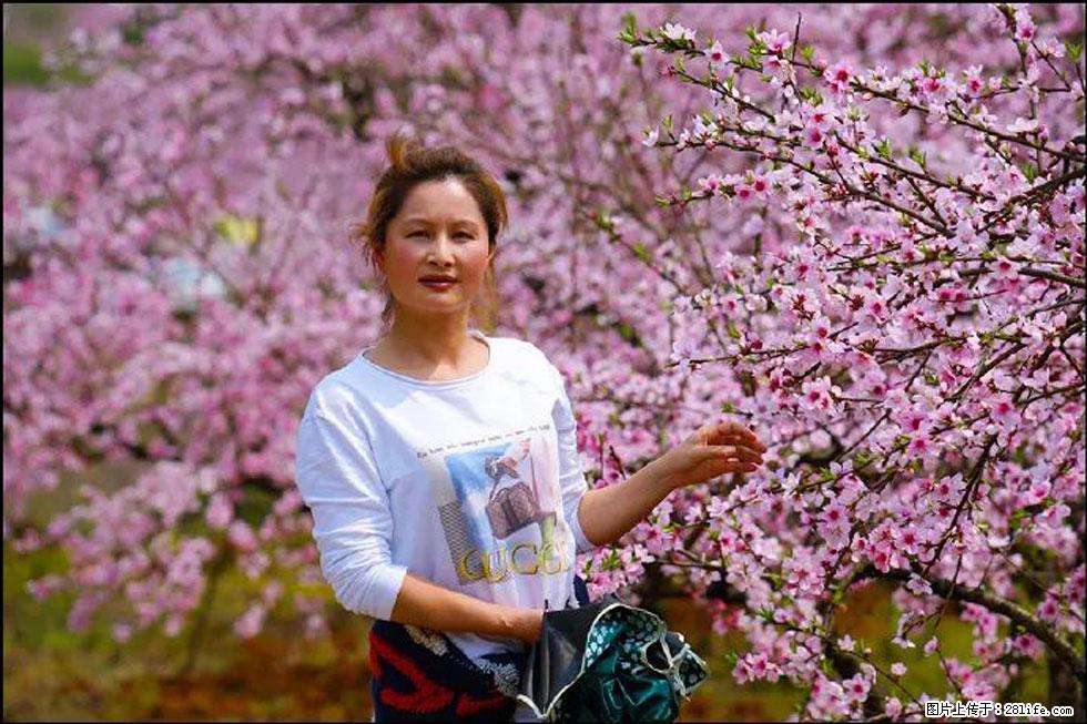 【春天，广西桂林灌阳县向您发出邀请！】官庄村有个醉美的桃花园 - 游山玩水 - 鄢陵生活社区 - 鄢陵28生活网 yanling.28life.net
