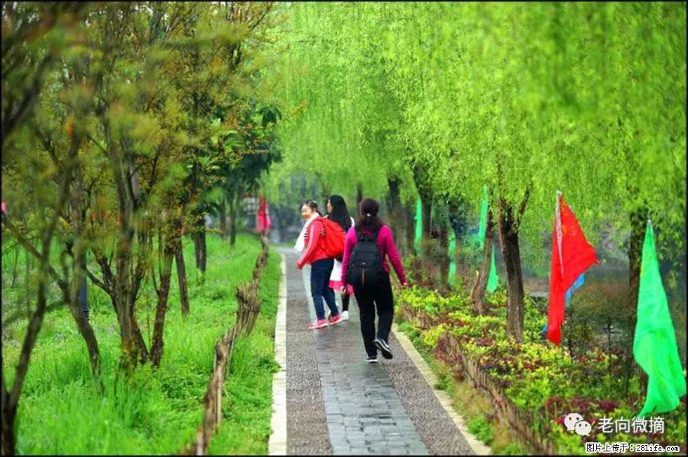 【春天，广西桂林灌阳县向您发出邀请！】江口老街又逢春 - 游山玩水 - 鄢陵生活社区 - 鄢陵28生活网 yanling.28life.net