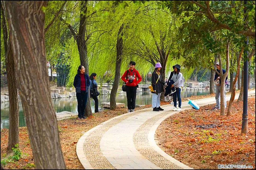 【春天，广西桂林灌阳县向您发出邀请！】江口老街又逢春 - 游山玩水 - 鄢陵生活社区 - 鄢陵28生活网 yanling.28life.net