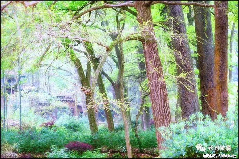 【春天，广西桂林灌阳县向您发出邀请！】在小龙村与春天约会 - 游山玩水 - 鄢陵生活社区 - 鄢陵28生活网 yanling.28life.net