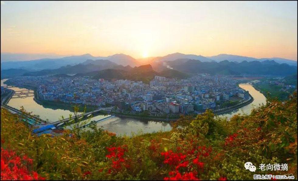 【春天，广西桂林灌阳县向您发出邀请！】登麒麟山，相约映山红 - 游山玩水 - 鄢陵生活社区 - 鄢陵28生活网 yanling.28life.net