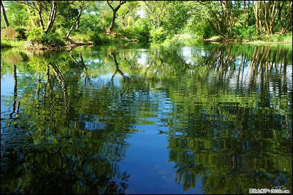 【春天，广西桂林灌阳县向您发出邀请！】熊家寨湿地公园 - 游山玩水 - 鄢陵生活社区 - 鄢陵28生活网 yanling.28life.net