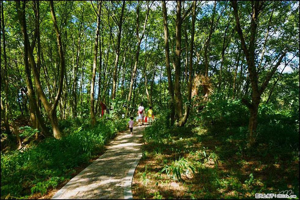 【春天，广西桂林灌阳县向您发出邀请！】熊家寨湿地公园 - 游山玩水 - 鄢陵生活社区 - 鄢陵28生活网 yanling.28life.net