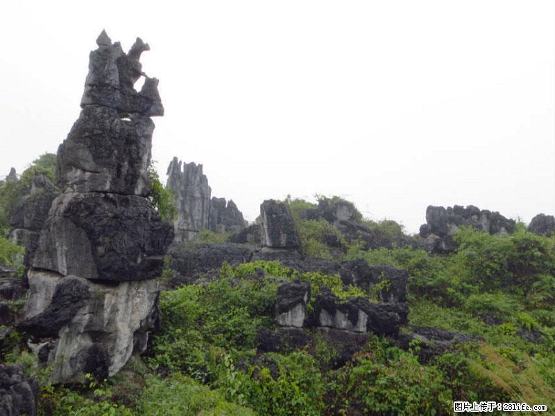 桂林旅游名城景点：灌阳文市石林 - 游山玩水 - 鄢陵生活社区 - 鄢陵28生活网 yanling.28life.net