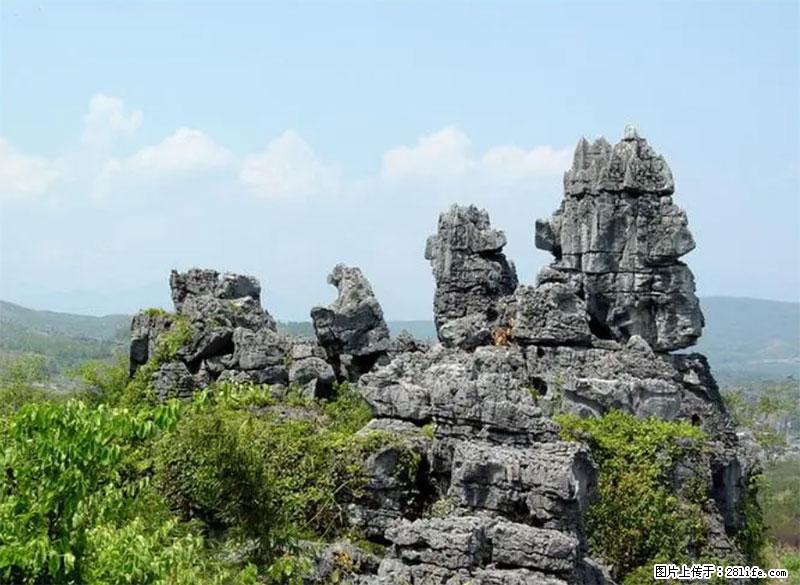 桂林旅游名城景点：灌阳文市石林 - 游山玩水 - 鄢陵生活社区 - 鄢陵28生活网 yanling.28life.net