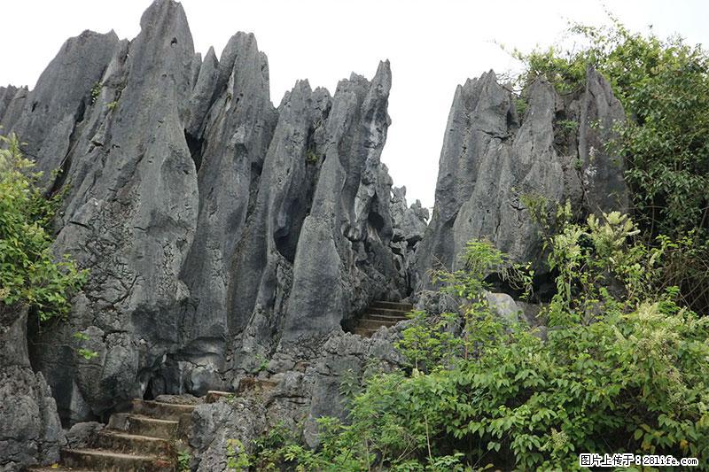 桂林旅游名城景点：灌阳文市石林 - 游山玩水 - 鄢陵生活社区 - 鄢陵28生活网 yanling.28life.net