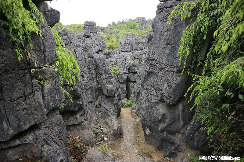 桂林旅游名城景点：灌阳文市石林 - 游山玩水 - 鄢陵生活社区 - 鄢陵28生活网 yanling.28life.net
