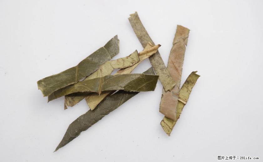 苦丁茶有哪些功效和作用 - 生活百科 - 鄢陵生活社区 - 鄢陵28生活网 yanling.28life.net