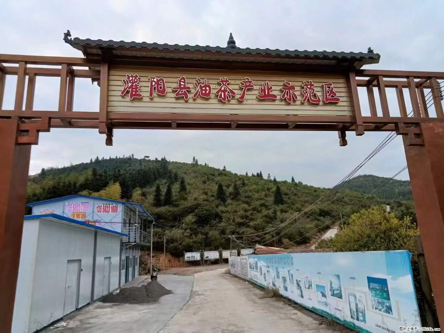 【灌阳县油茶产业示范区】一个有着充实的精神生活的人，对待身外之物自会有一种淡泊的态度 - 美食天地 - 鄢陵生活社区 - 鄢陵28生活网 yanling.28life.net