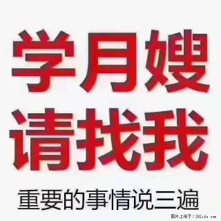 为什么要学习月嫂，育婴师？ - 鄢陵28生活网 yanling.28life.net