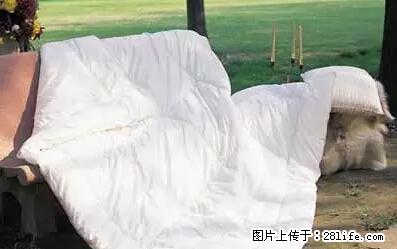 被子有异味？只要这样做，比晒太阳还强100倍！ - 家居生活 - 鄢陵生活社区 - 鄢陵28生活网 yanling.28life.net