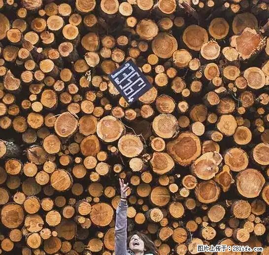 辞掉工作周游世界？现在他们在洗厕所…… - 游山玩水 - 鄢陵生活社区 - 鄢陵28生活网 yanling.28life.net