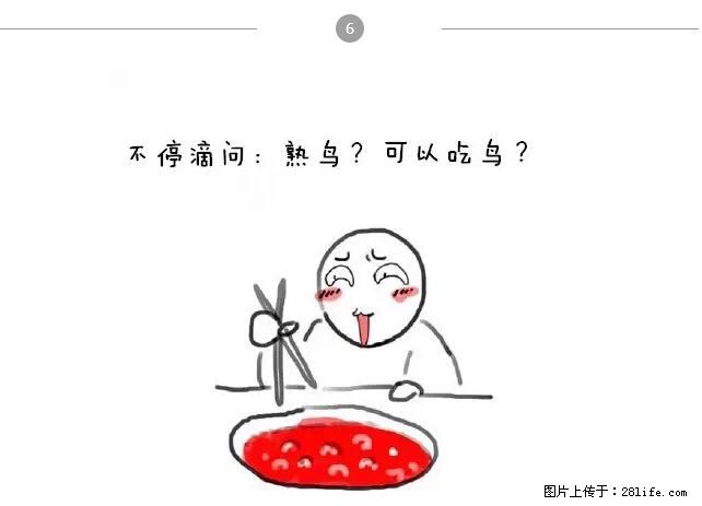 千万不要和这9种哈卵一起吃火锅！ - 美食天地 - 鄢陵生活社区 - 鄢陵28生活网 yanling.28life.net