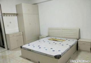 人民路西段 单身公寓 舒适 整洁 - 鄢陵28生活网 yanling.28life.net
