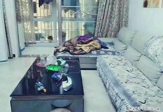 四季花城 精装修 拎包入住 - 鄢陵28生活网 yanling.28life.net