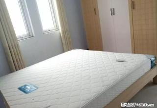 花样年华 2房出租 拎包入住 经济实惠 - 鄢陵28生活网 yanling.28life.net
