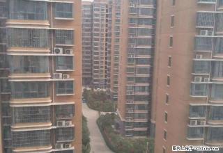 翠柳路北段，中装三房，家具家电齐全，拎包即可入住 - 鄢陵28生活网 yanling.28life.net
