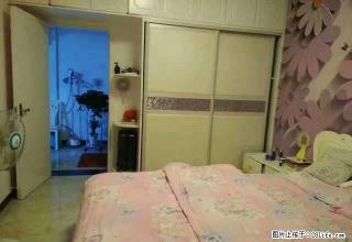 (单间出租)四季花城，电梯12楼，精装修，家电齐全，拎包入住 - 鄢陵28生活网 yanling.28life.net