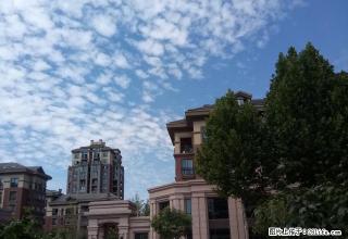 月子房月子房，，， - 鄢陵28生活网 yanling.28life.net