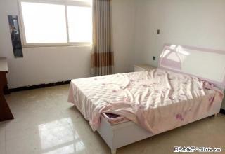 翠柳路南段电梯六楼空房三室出租可住可上商 - 鄢陵28生活网 yanling.28life.net