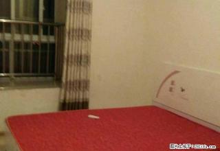 鼓楼广场，家具家电齐全，拎包入住！ - 鄢陵28生活网 yanling.28life.net