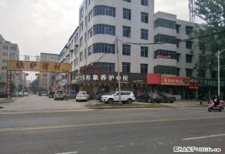 小郑为您介绍 翠柳路南段 上下两层 - 鄢陵28生活网 yanling.28life.net
