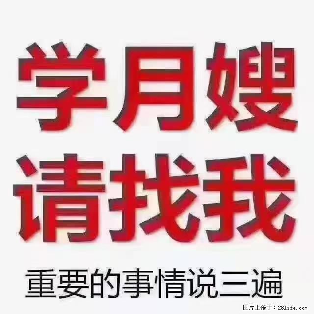 【招聘】月嫂，上海徐汇区 - 职场交流 - 鄢陵生活社区 - 鄢陵28生活网 yanling.28life.net