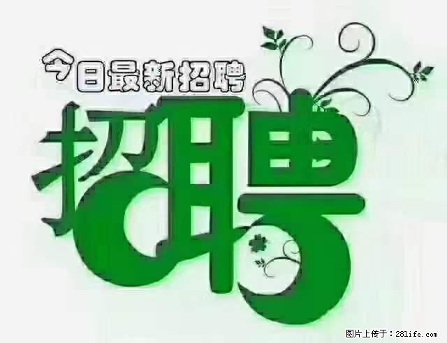 上海隔离酒店招人：55岁以下 男女不限 - 职场交流 - 鄢陵生活社区 - 鄢陵28生活网 yanling.28life.net