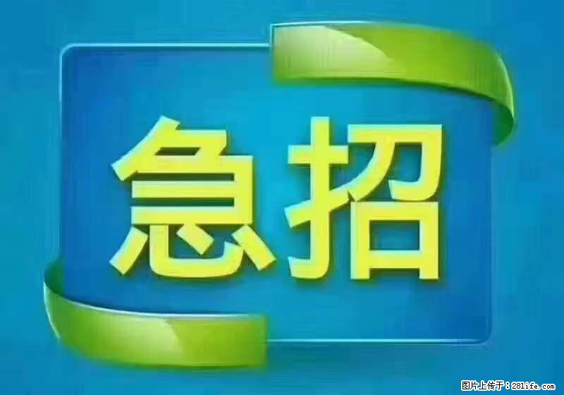 招出纳8000元/月，无证可以，要有相关经验，上海五险一金，包住，包工作餐，做六休一。 - 职场交流 - 鄢陵生活社区 - 鄢陵28生活网 yanling.28life.net