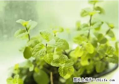 晕车、脚气、牙齿变黄、皮肤粗糙？学会这些三分钟搞定！ - 鄢陵生活资讯 - 鄢陵28生活网 yanling.28life.net