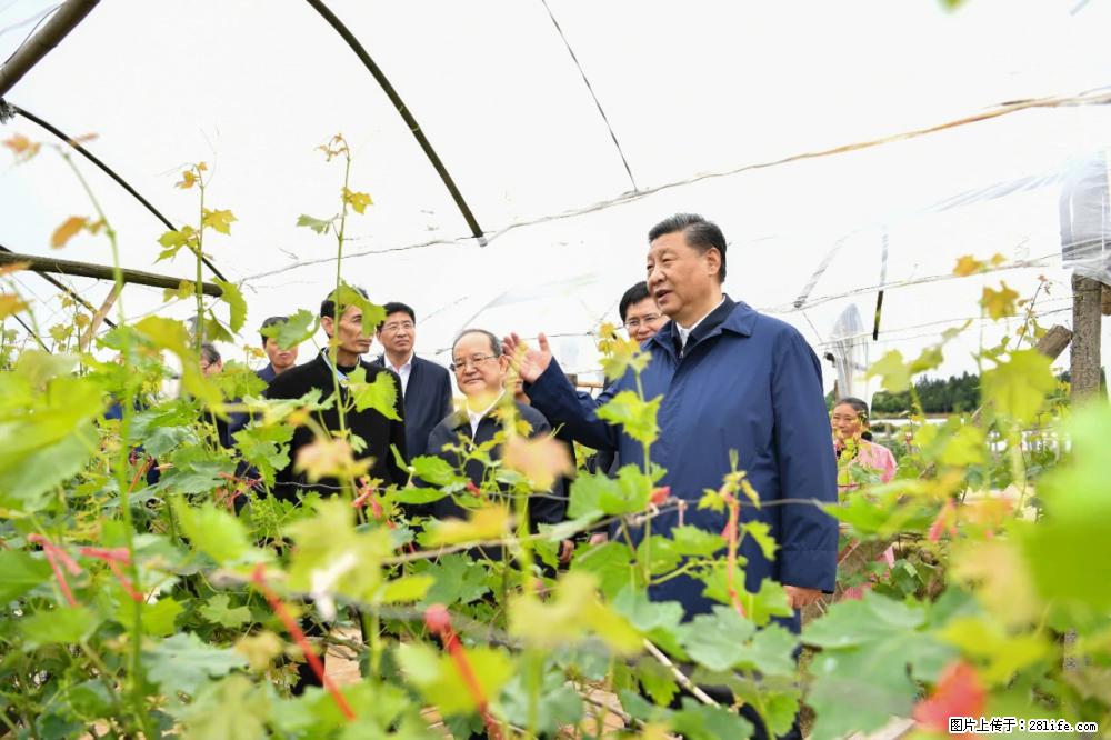 习近平赴广西考察调研 - 鄢陵生活资讯 - 鄢陵28生活网 yanling.28life.net