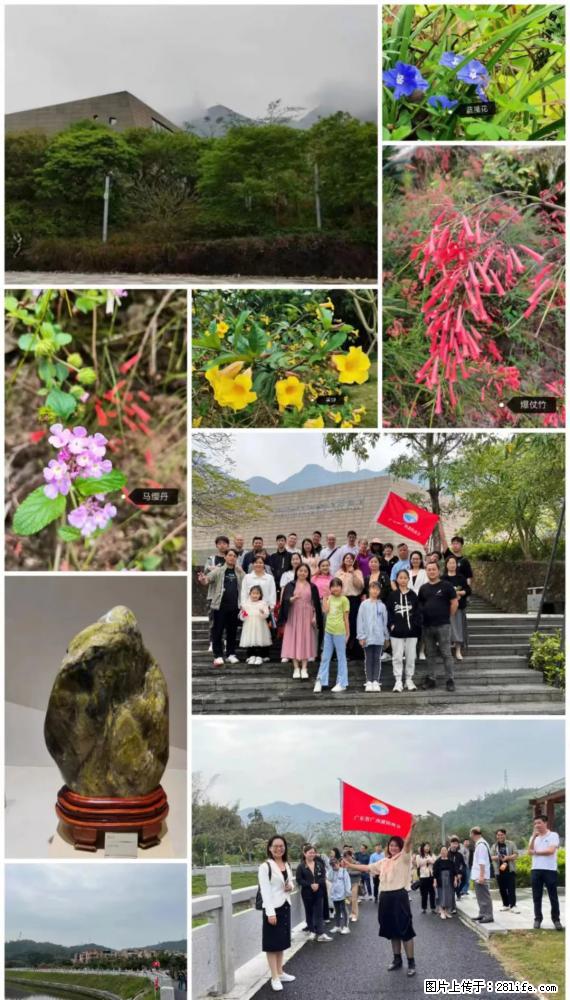 “粤灌文化 美好生活”油茶文化主题活动在广东深圳成功举办 - 鄢陵生活资讯 - 鄢陵28生活网 yanling.28life.net