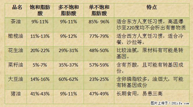 揭秘茶油的5大核心营养成分！被称为人体健康的“守护盾”！ - 鄢陵生活资讯 - 鄢陵28生活网 yanling.28life.net