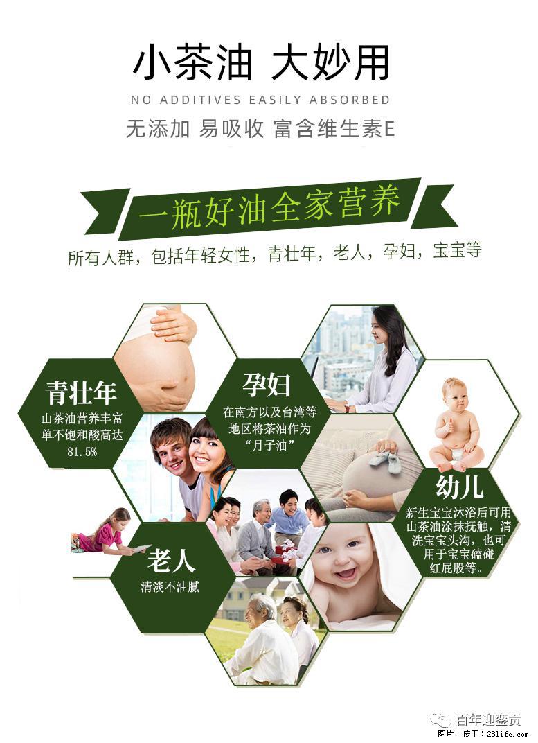 世界没有真相，只有认知，最好的食用油是中国的山茶油！ - 鄢陵生活资讯 - 鄢陵28生活网 yanling.28life.net