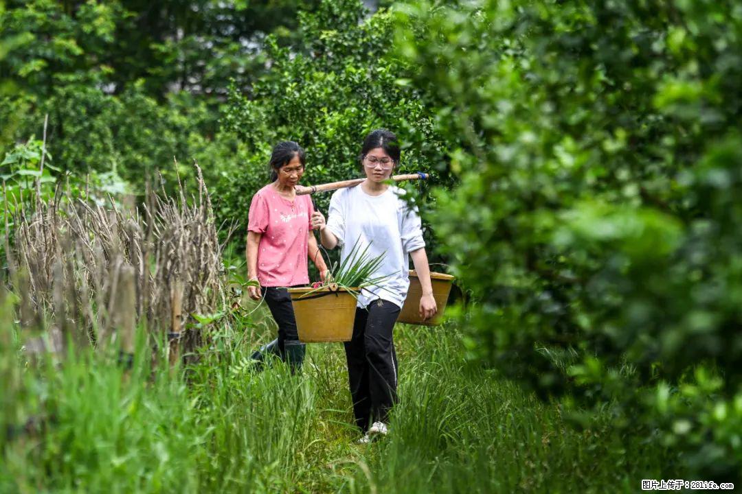 全网追的“扁担女孩”，找了一份暑假工，时薪12元 - 鄢陵生活资讯 - 鄢陵28生活网 yanling.28life.net