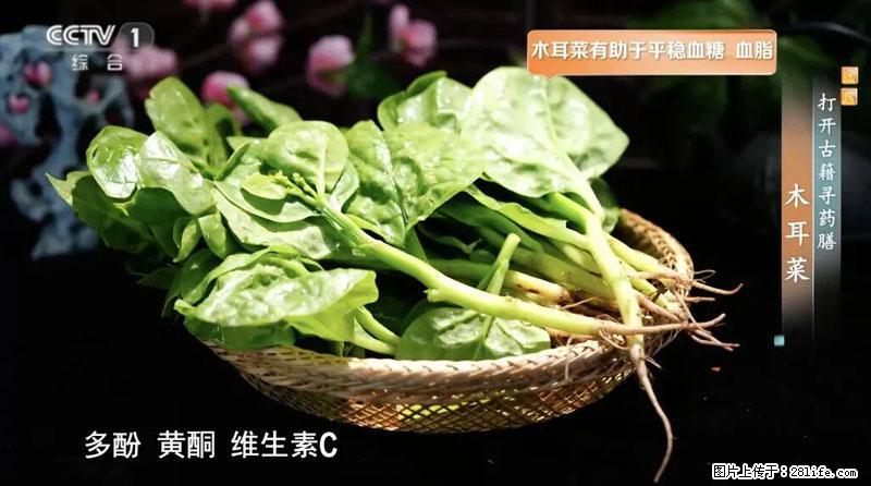 比牛奶补钙还厉害！凉血解毒、稳血糖...这菜冬天必吃，很多人却当草 - 鄢陵生活资讯 - 鄢陵28生活网 yanling.28life.net