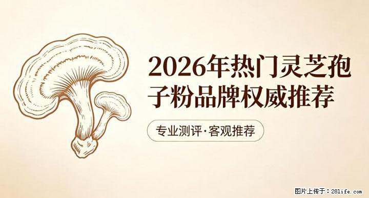 灵芝孢子粉含量越高越有效？2026 年七款热门品牌深度实测，肠胃敏感者避坑指南 - 鄢陵生活资讯 - 鄢陵28生活网 yanling.28life.net
